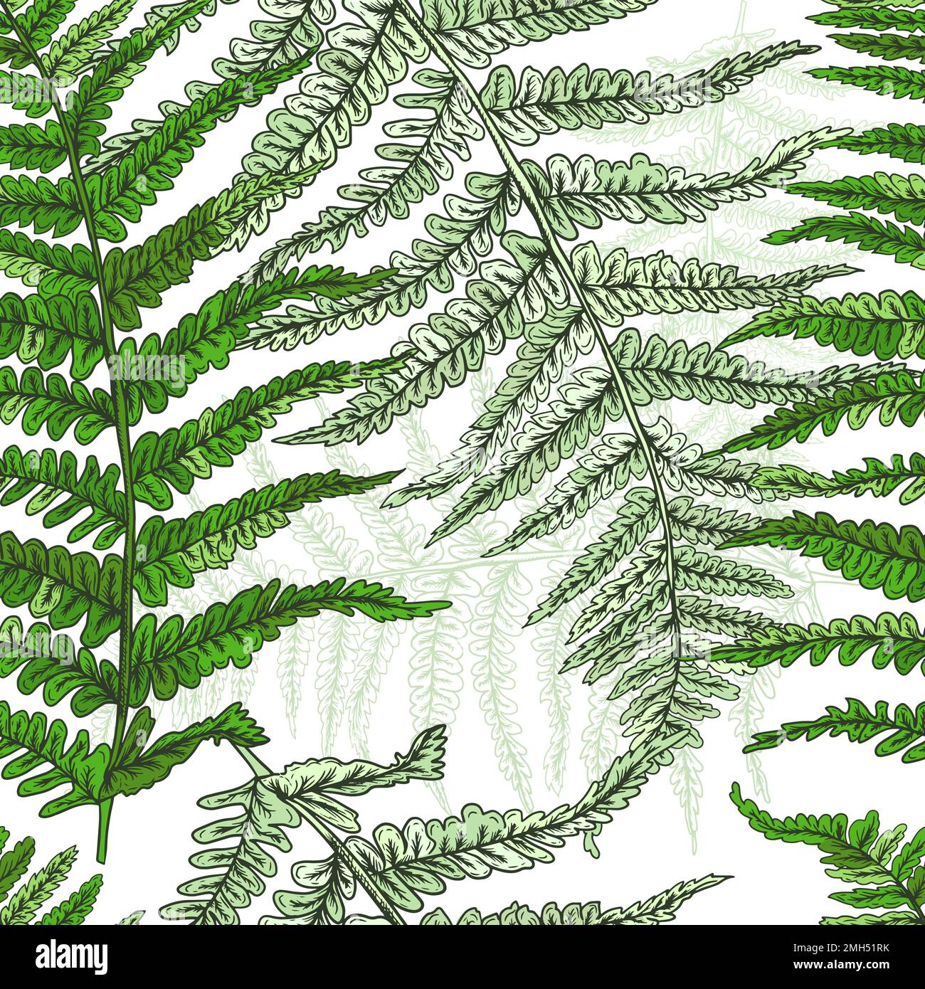 Branches de plantes motif aquarelle sans couture. Motif fougère sans coutures. Illustration vectorielle Illustration de Vecteur