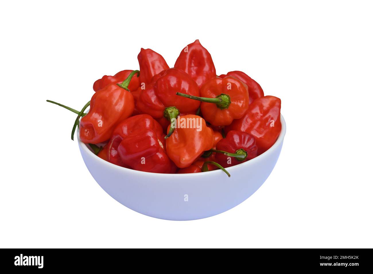 Vue latérale des gousses de piment de Capsicum Chinense mûr placées sur un petit bol en céramique en arrière-plan isolé Banque D'Images