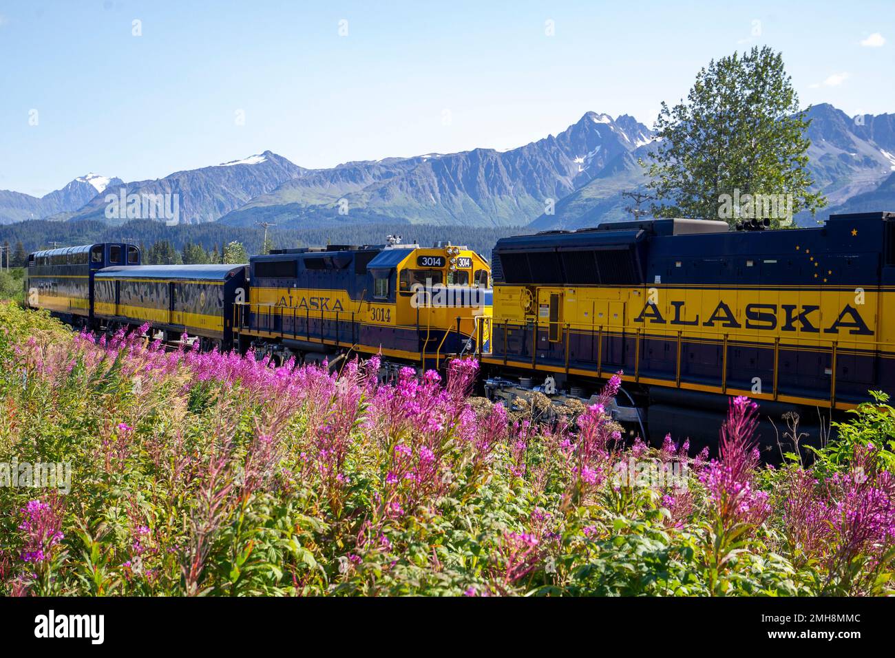 Le Alaska Railroad Coastal Classic s'étend entre Anchorage et Seward, en Alaska. Banque D'Images