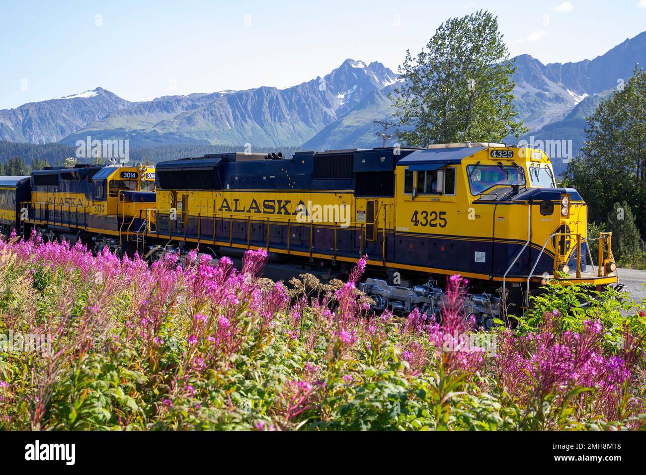 Le Alaska Railroad Coastal Classic s'étend entre Anchorage et Seward, en Alaska. Banque D'Images