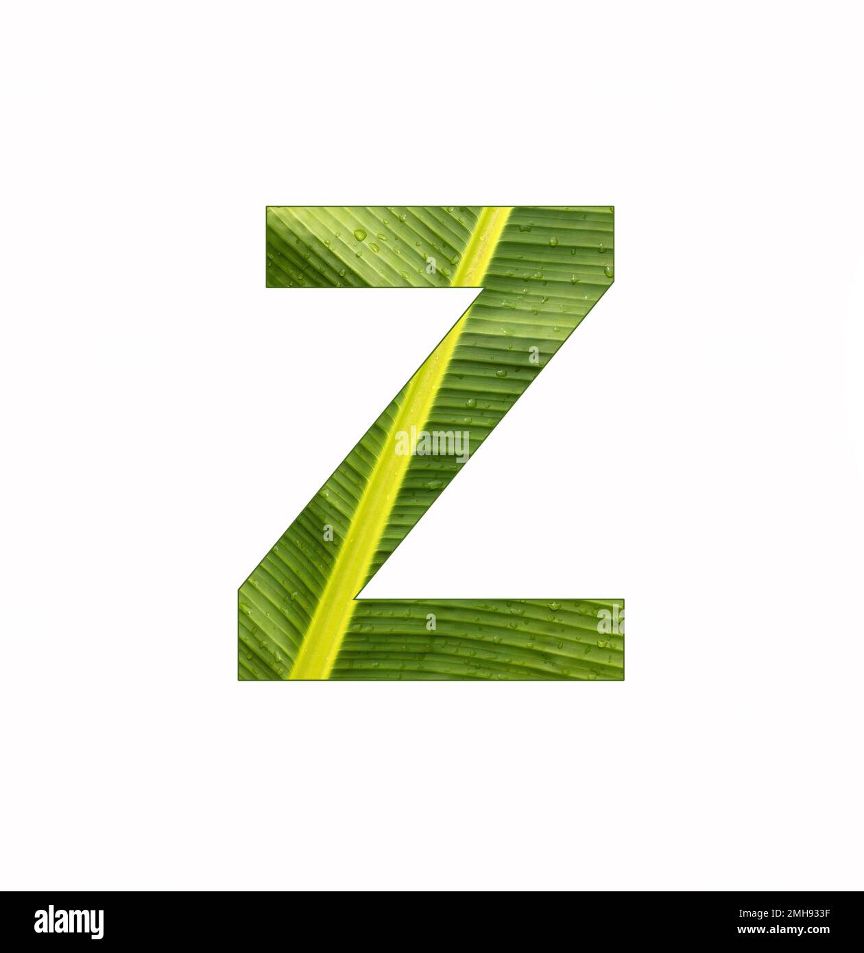 Lettre Z de l'alphabet - arrière-plan de la feuille de plante de Banana Banque D'Images