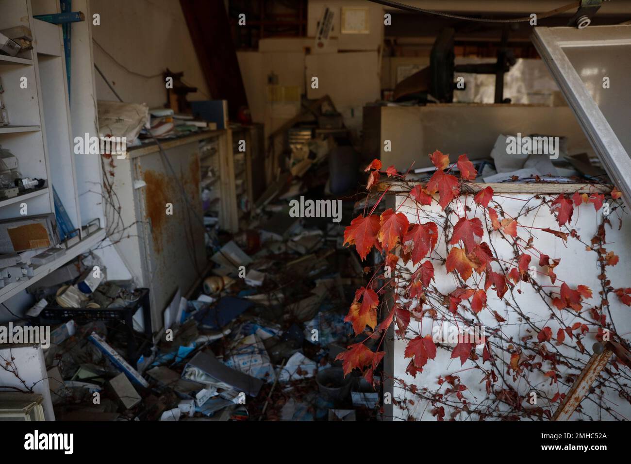 Ivy creeps up a wall in an abandoned office Tuesday, Dec. 3, 2019, in Futaba, Fukushima prefecture, Japan. The entire town was evacuated after the March 2011 earthquake and tsunami that caused meltdowns at the nearby Fukushima Daiichi nuclear power plant. 96 percent of the town is still uninhabitable, according to reports. (AP Photo/Jae C. Hong) Banque D'Images