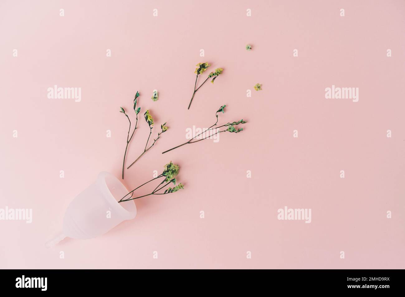 Vue du haut fleurs rouges sèches dans une coupe menstruelle blanche sur fond rose Banque D'Images