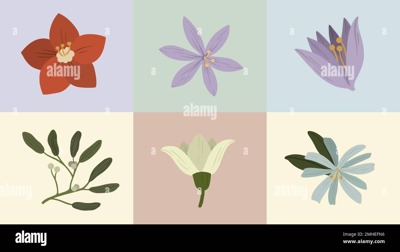 Coloré fleurs hiver botanique mobile papier peint vecteur Illustration de Vecteur