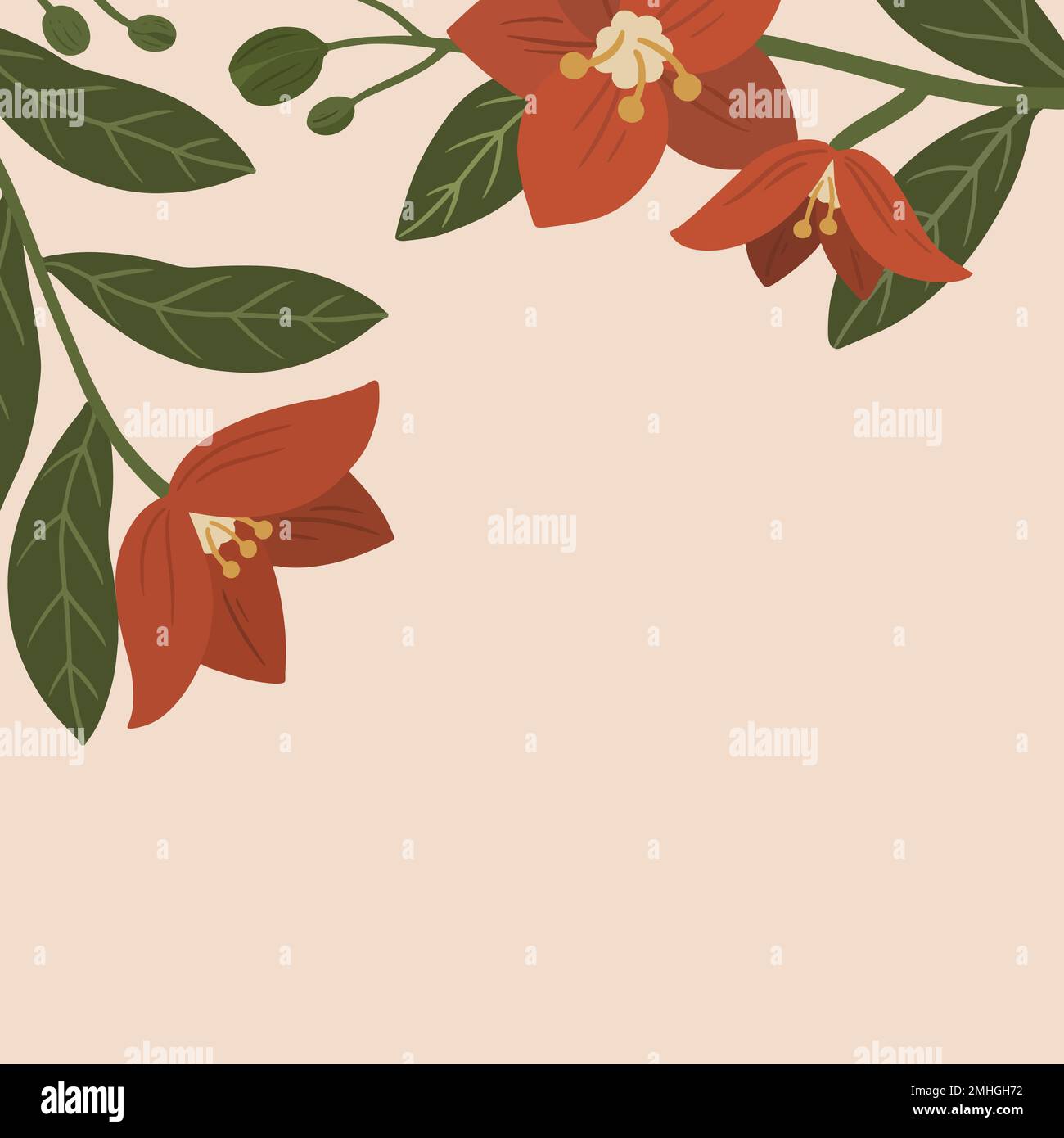 Botanique rouge fleur copier espace social ADS modèle vecteur Illustration de Vecteur