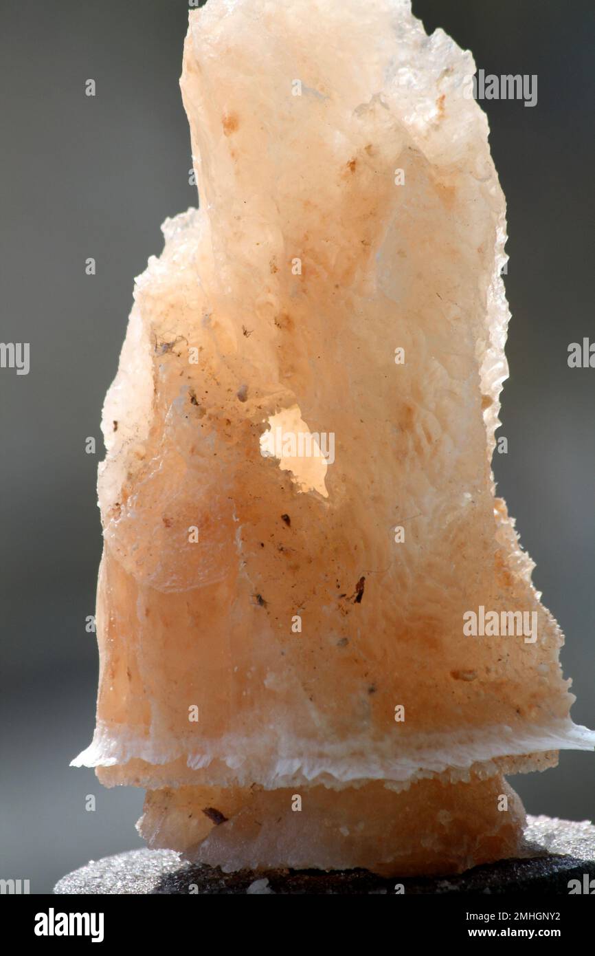 Sel himalayen teinté rose (halite) de formes naturelles diverses : (pix Sanjiv Shukla) Banque D'Images