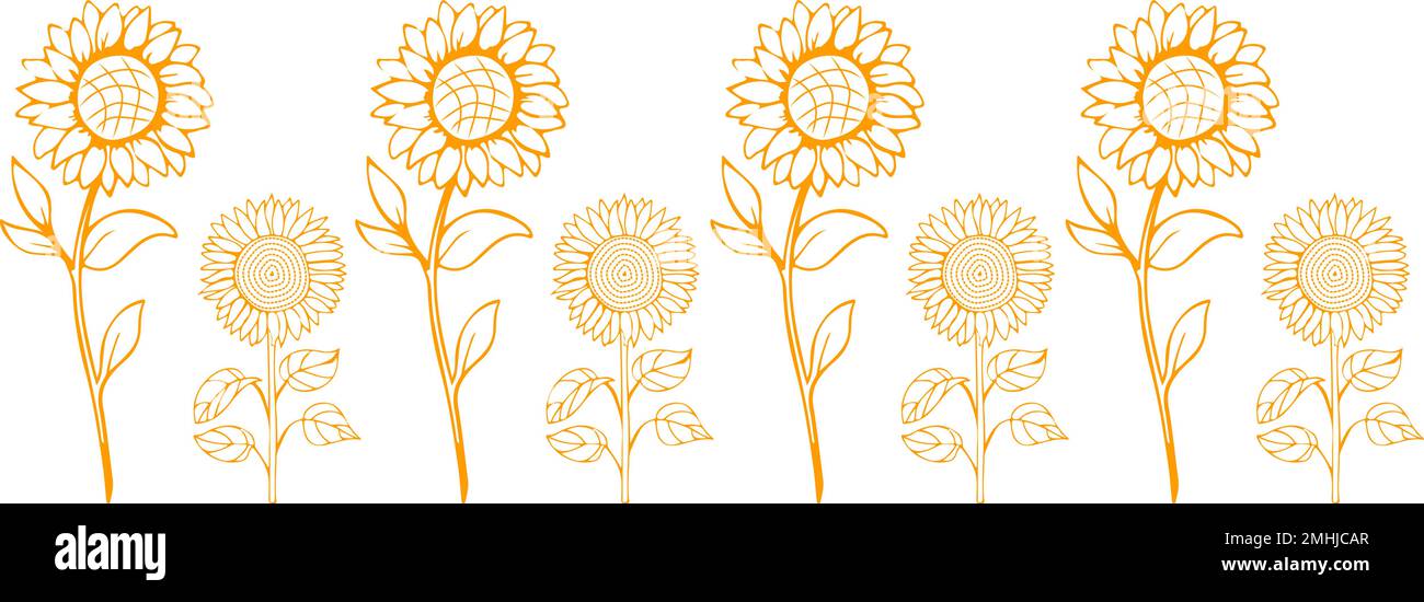 Bordure graphique avec silhouettes de tournesol de couleur jaune sur fond transparent Illustration de Vecteur