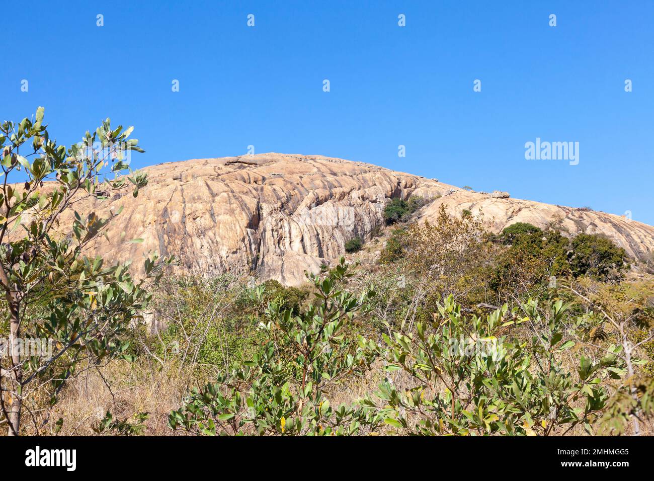 Grand dôme en granit ou Koppie dans un paysage typique du parc national Kruger, en Afrique du Sud Banque D'Images