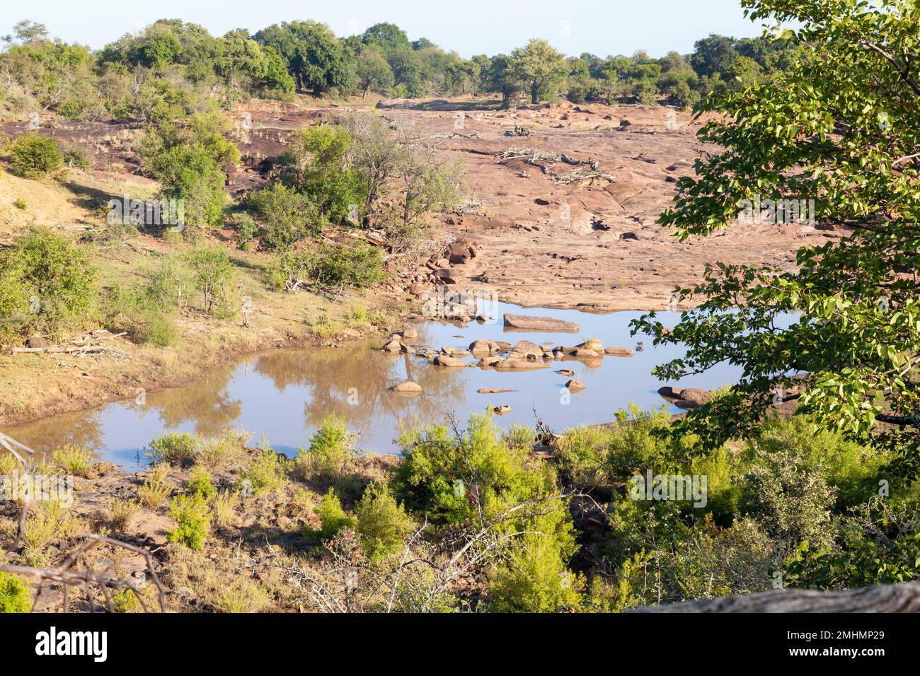 Paysage de Red Rocks, parc national Kruger, Afrique du Sud, où le récif de grès de Gubyane est parsemé de nids-de-poule profonds formés au fil des ans par le marais Banque D'Images