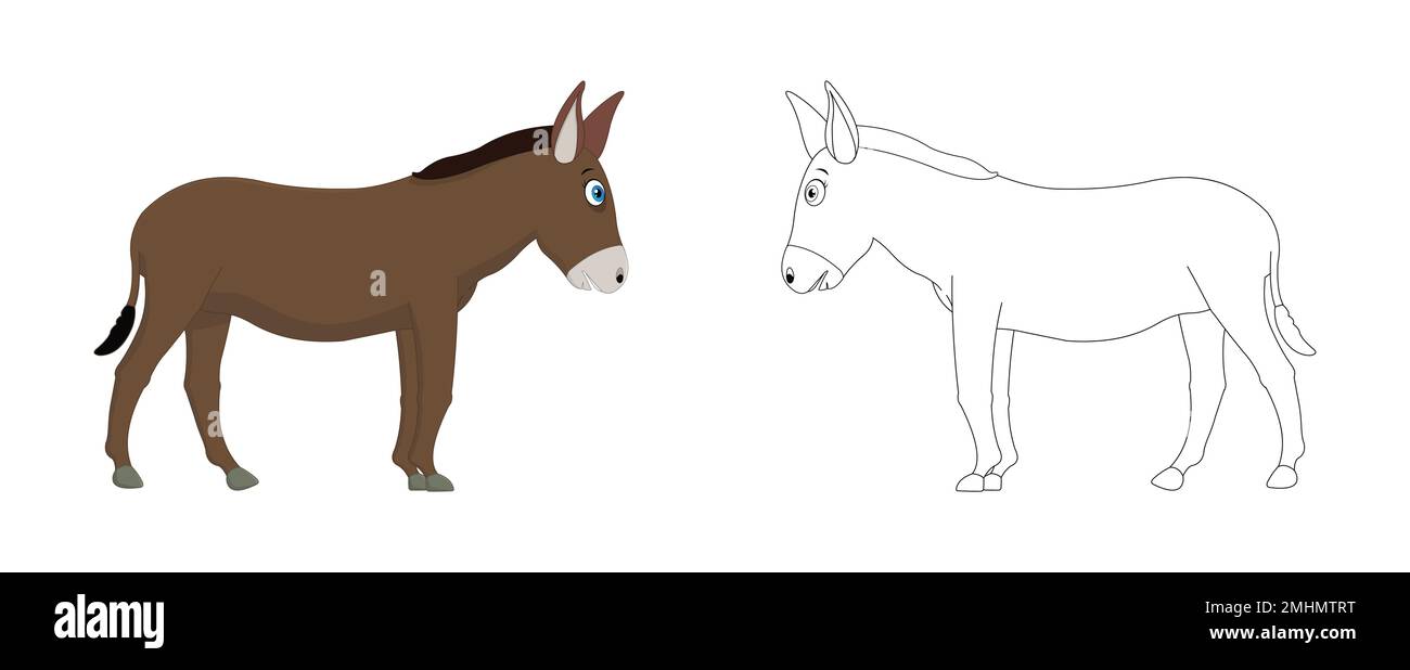 Happy caricature âne avec dessin au trait, dessin âne couleur moins page isolée sur fond blanc. Illustration de Vecteur