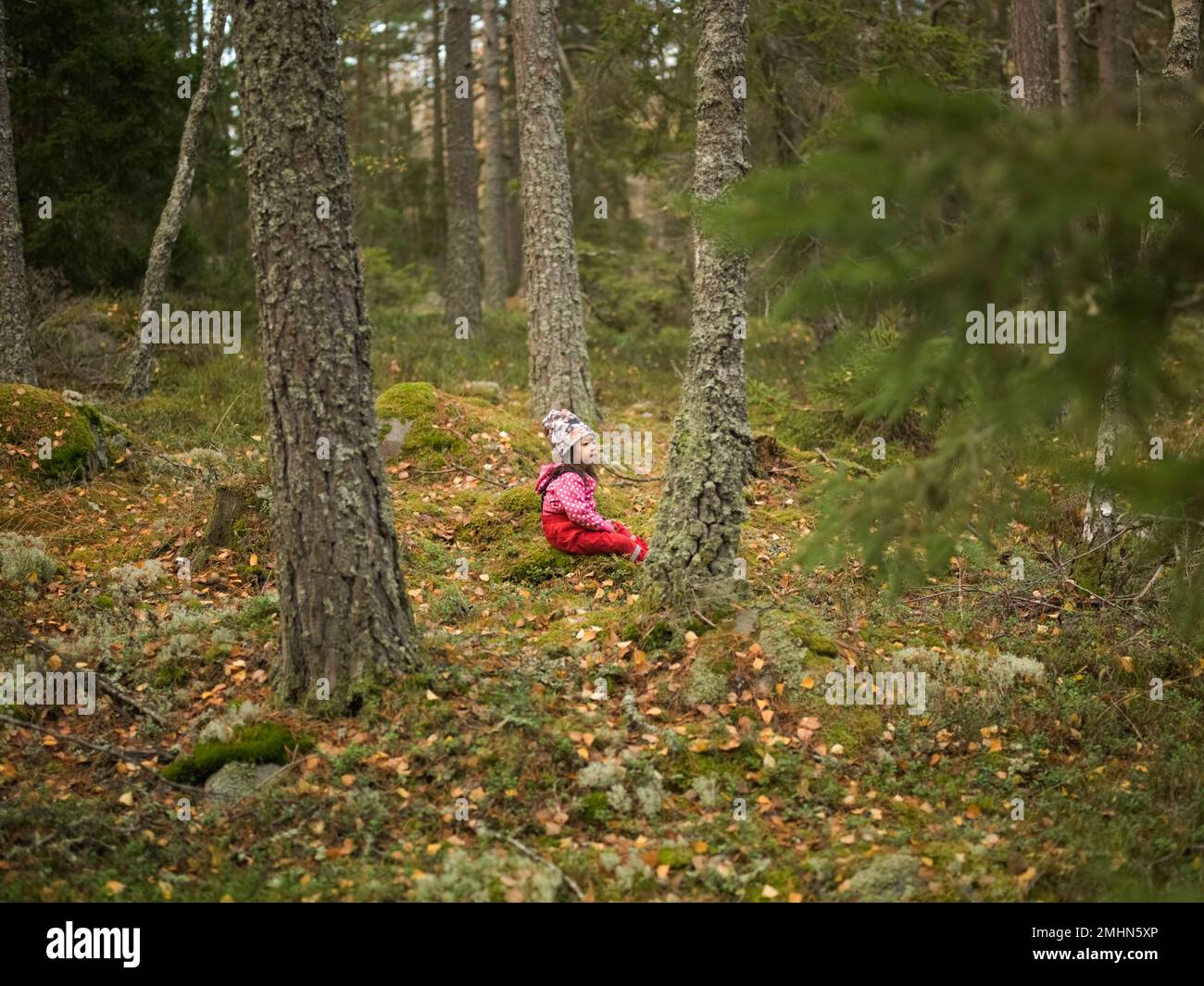 Pour une petite fille jouant dans la forêt Banque D'Images