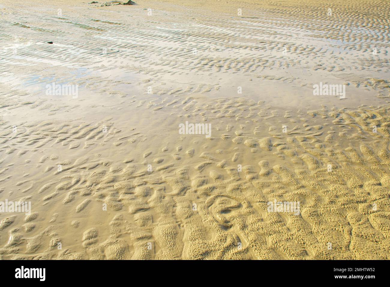 Texture naturelle du fond de sable gelé. Vue sur la plage en hiver Banque D'Images