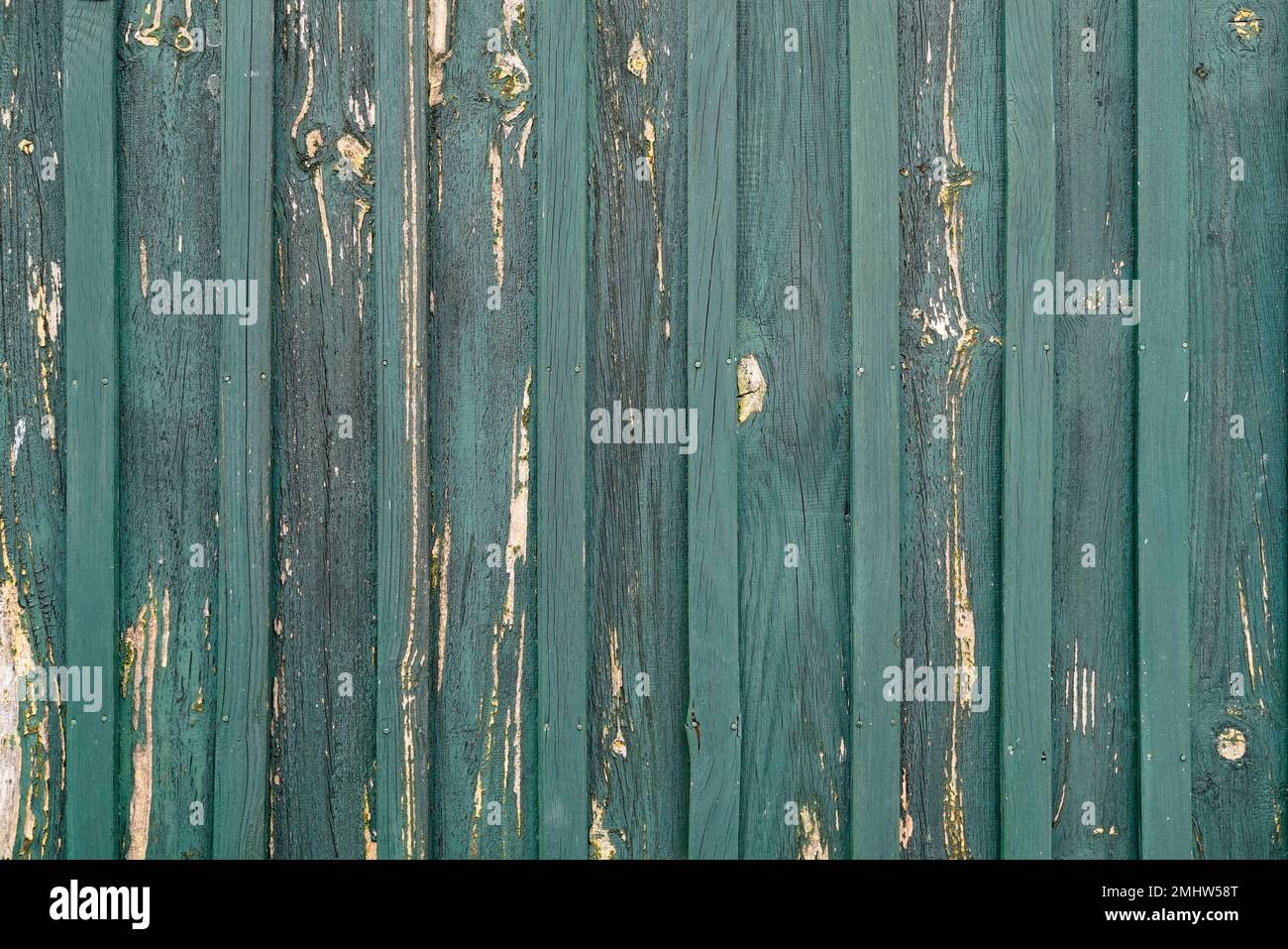 planches verticales vieux bois vert fond texture surface en bois Banque D'Images