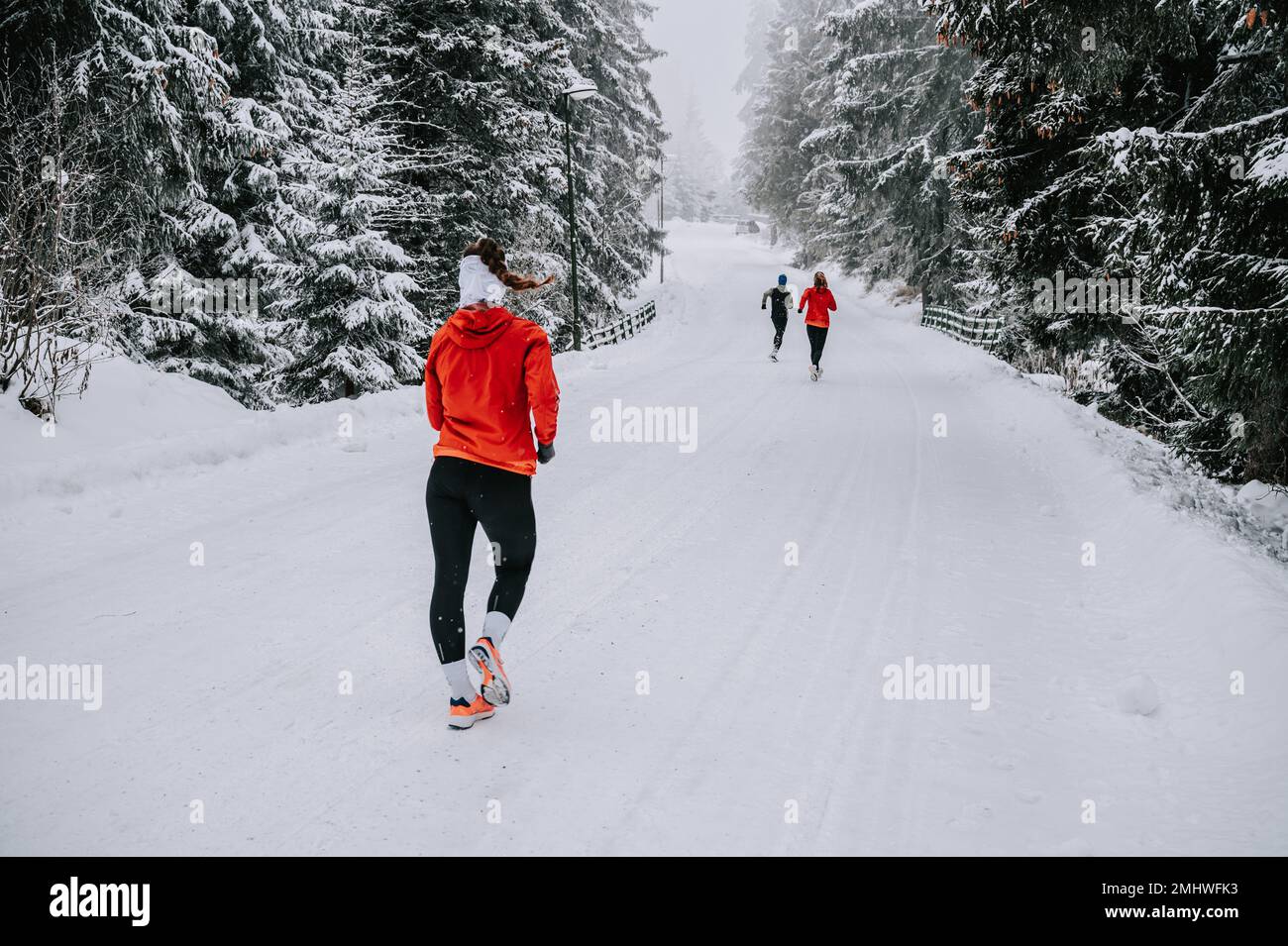 Les coureuses parcourent les sentiers enneigés, leur souffle visible dans l'air de montagne éclatant d'une forêt enneigée Banque D'Images