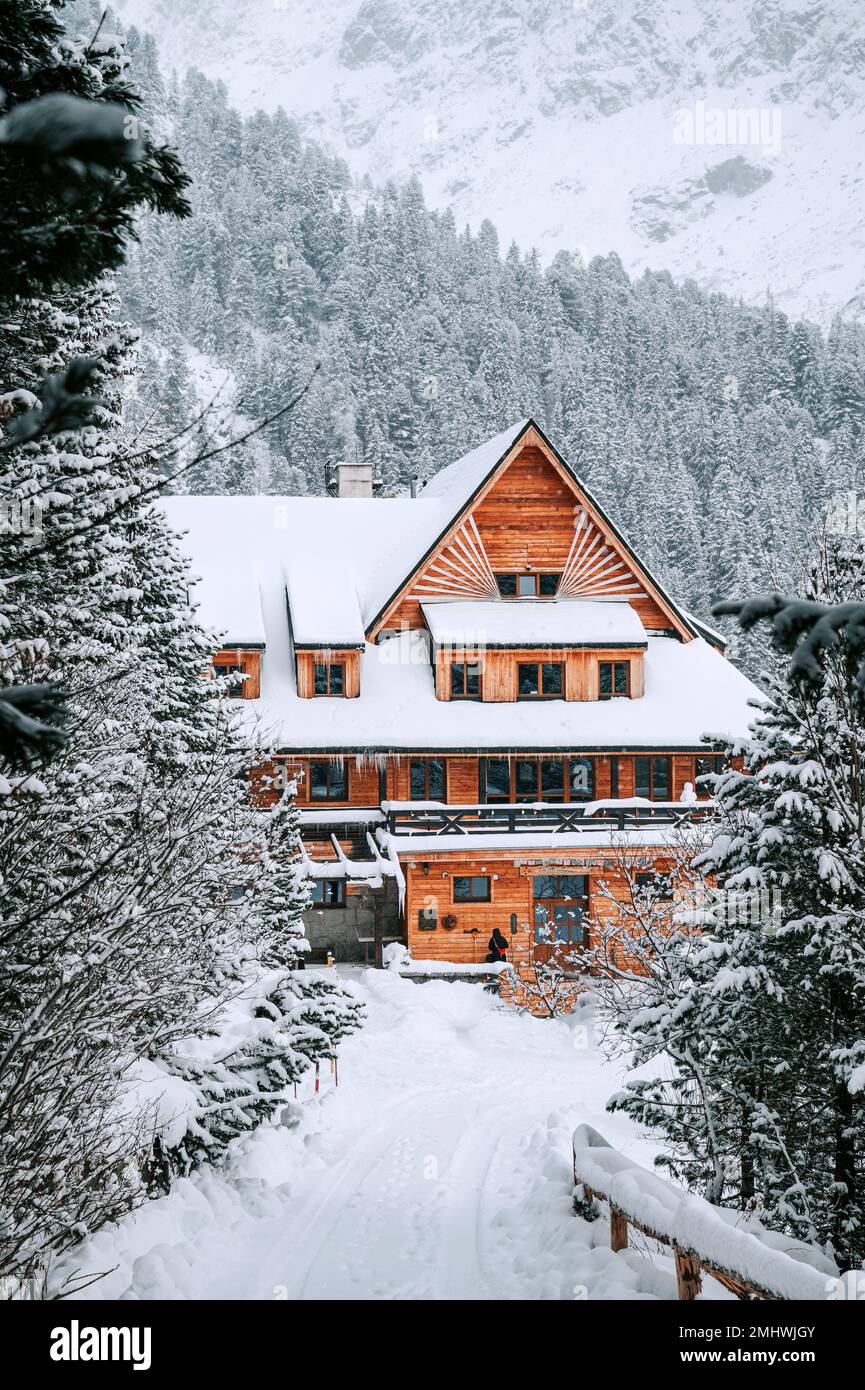 Lac Poprad dans les Hautes Tatras, Slovaquie en hiver. La neige intacte et l'atmosphère sereine font une vue vraiment à couper le souffle Banque D'Images