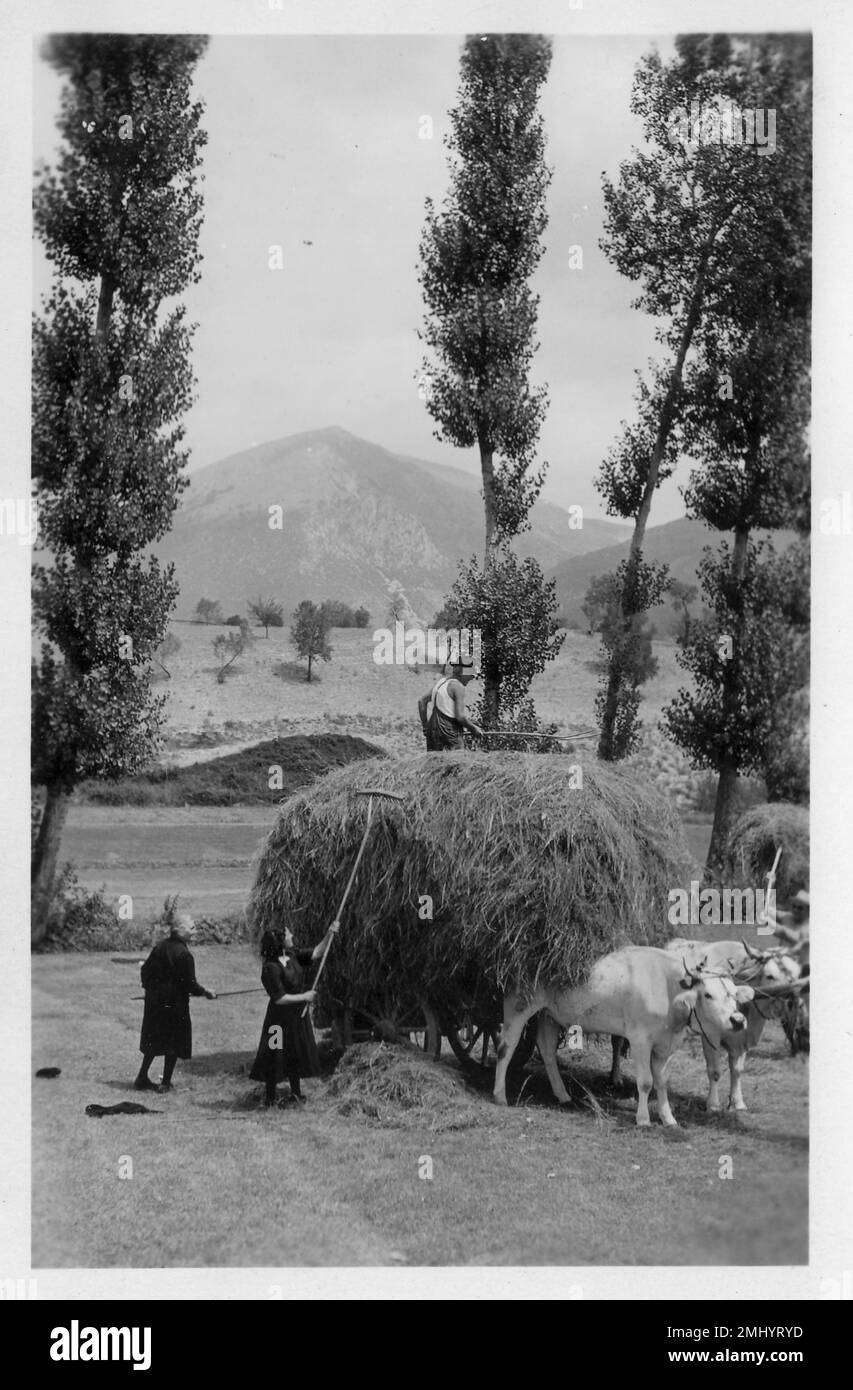 Fienagione a Norcia Banque D'Images