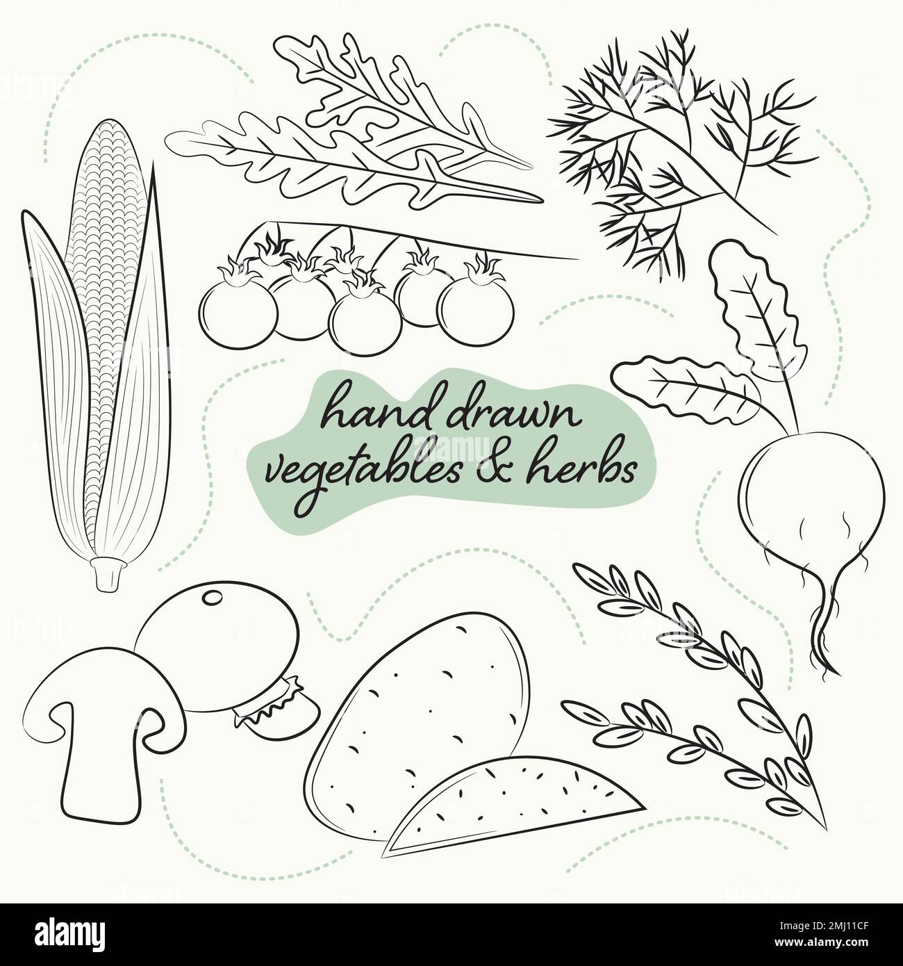 un ensemble de légumes et d'herbes dessinés à la main Illustration de Vecteur