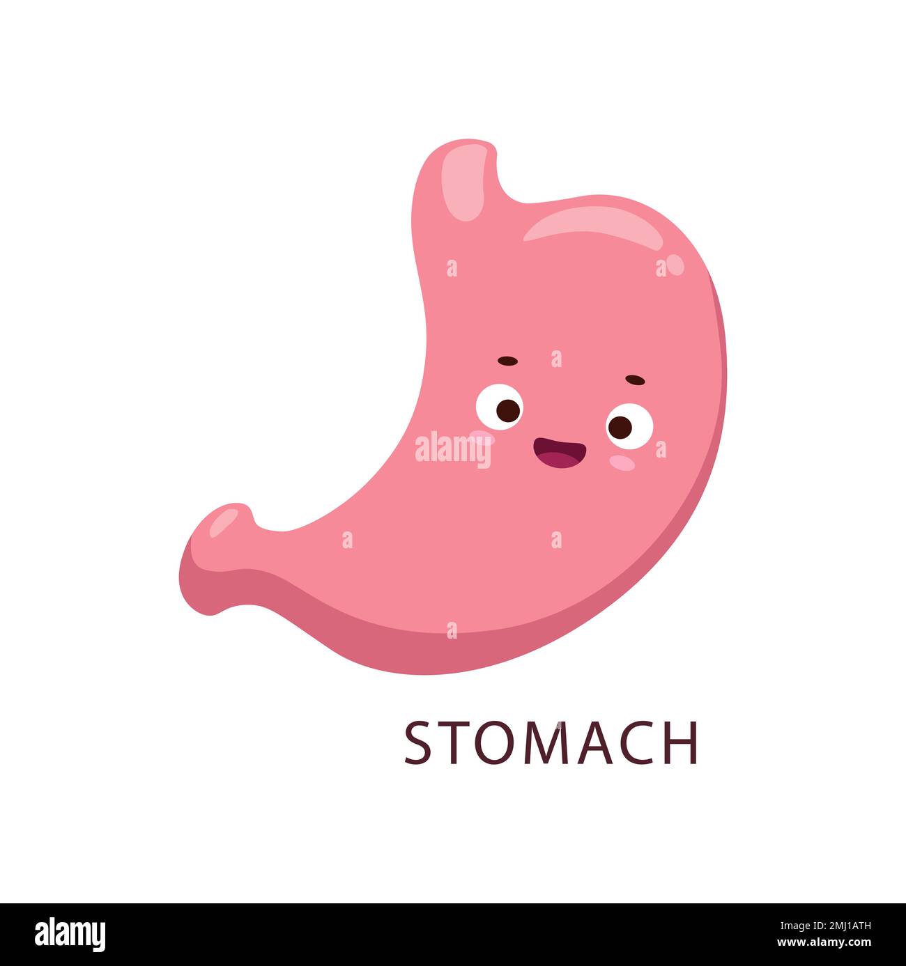 Caricature estomac corps humain personnage d'organe. Vecteur système  digestif personnage avec kawaii visage souriant. Anatomie, médecine pour  les enfants, soins de santé. Organe interne positif emoji, ventre rose  Image Vectorielle Stock -