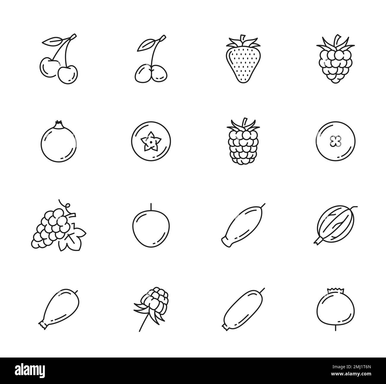 Icônes de la ligne de baies brutes. Jardin de ferme et cerisier sauvage, fraise et myrtille, framboise, myrtille et rosehip, cassis et myrtille, icônes de pictogrammes vectoriels de raisin, groseille et blackberry Illustration de Vecteur