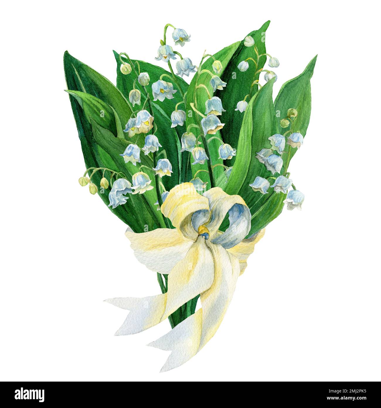 Aquarelle dessin à la main Illustration du nénuphars du bouquet de vallée isolé. Composition des fleurs blanches et des feuilles vertes. Première fleur de printemps avec ruban Banque D'Images