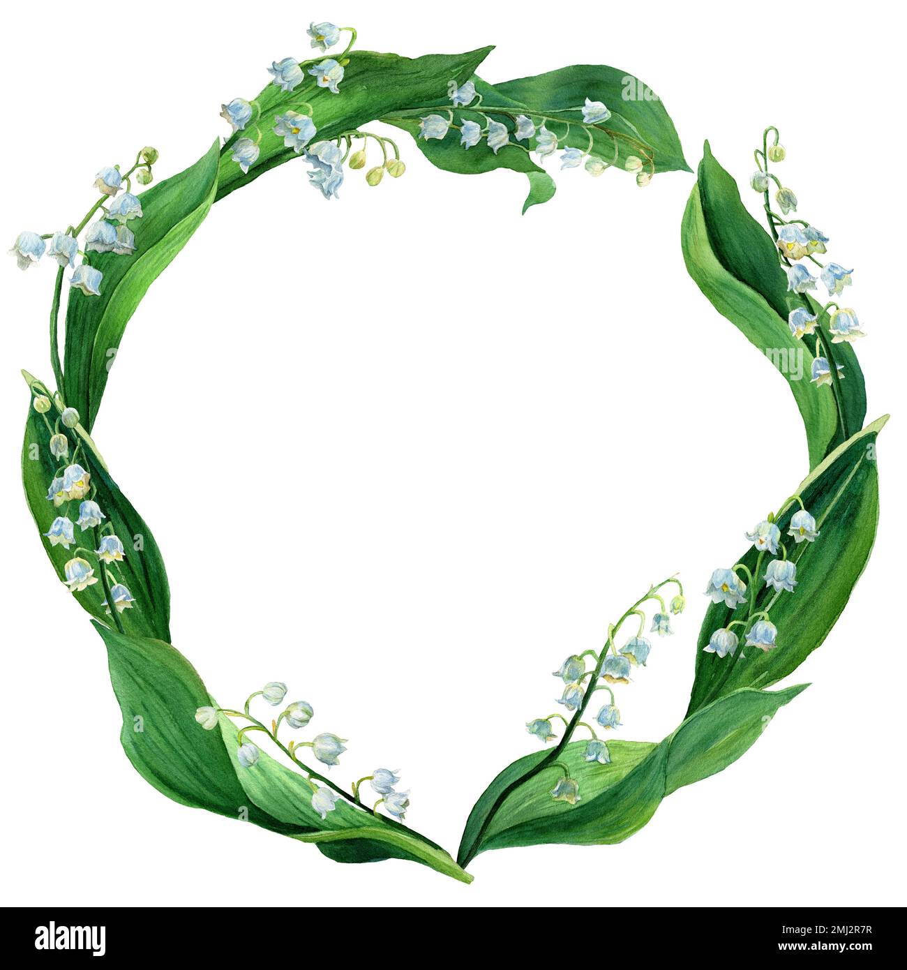 Couronne d'aquarelle de lys de la vallée, fleurs blanches et feuilles vertes isolées. Cadre botanique Illustration de la première fleur de printemps dans le style naturel. Banque D'Images