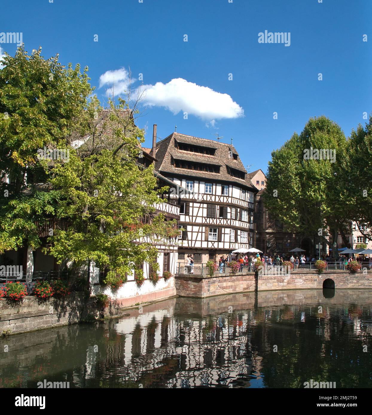 Bâtiments à colombages, arbres et promenade à flanc de canalside Strasbourg, Alsace, France Banque D'Images