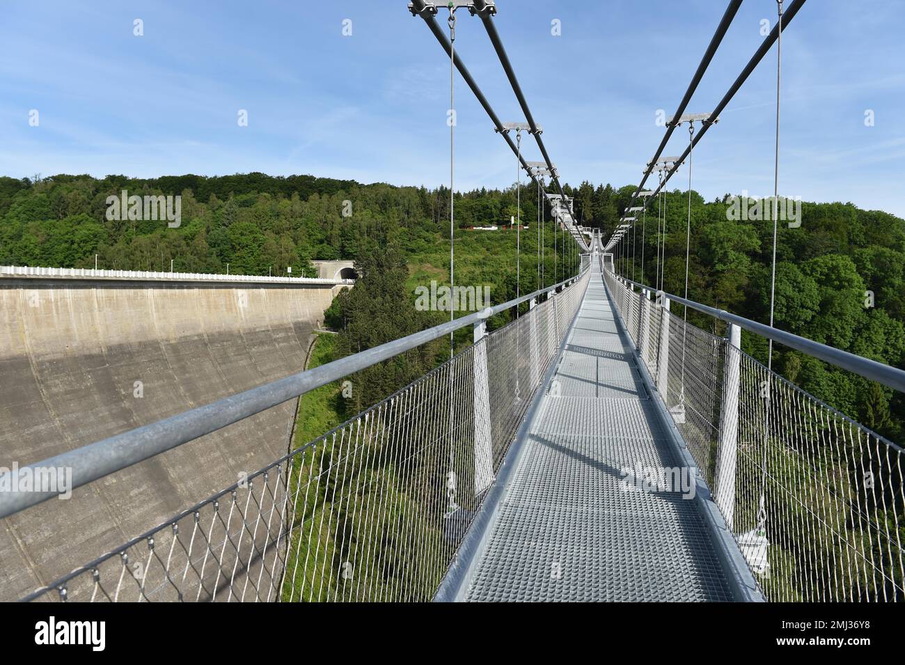 Titan RT, pont suspendu pour piétons, pont de corde dans les montagnes Harz à côté du barrage de Rappbode, Saxe-Anhalt, Allemagne Banque D'Images