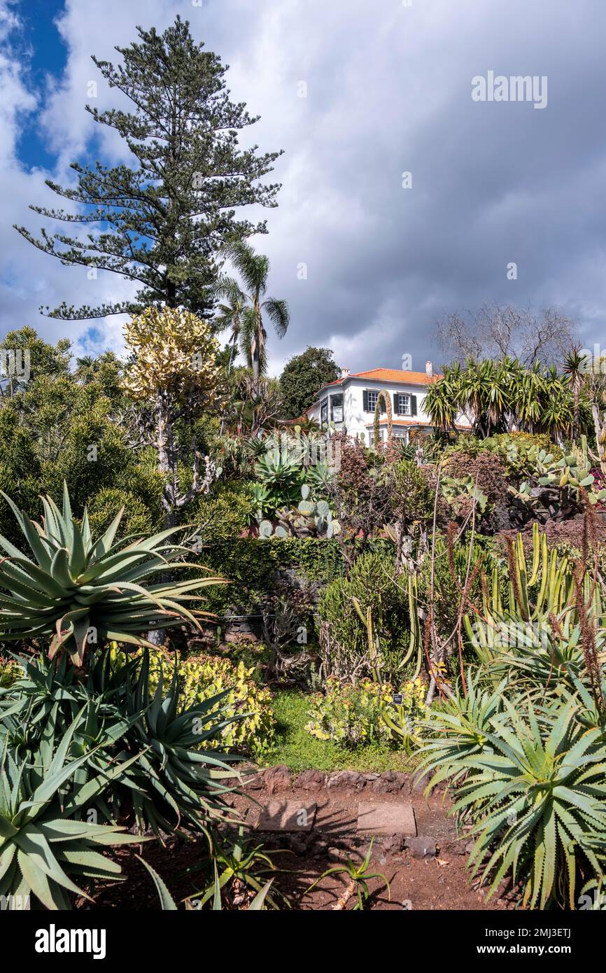 Jardin botanique de Funchal, Jardim Botanico, Madère, Portugal Banque D'Images