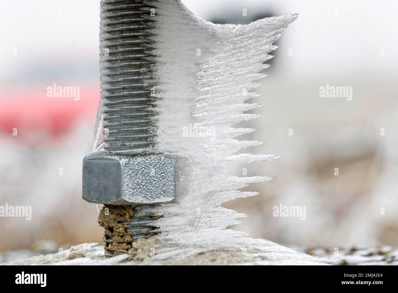 Faire du givre et de la glace sur une vis filetée. Hiver dans l'Alb souabe, Laichingen, Bade-Wurtemberg, Allemagne Banque D'Images