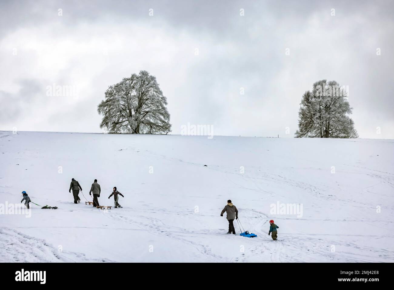 Hiver sur l'Alb souabe près de Roemerstein, gens tirant des traîneaux, Roemerstein, Bade-Wurtemberg, Allemagne Banque D'Images