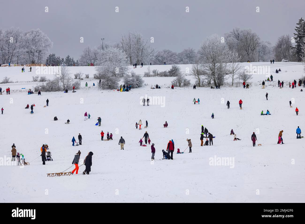 Hiver avec du givre sur l'Alb souabe, sports d'hiver avec ski et luge aux remontées mécaniques de Donnstetten, Roemerstein-Donnstetten, Bade-Wurtemberg Banque D'Images