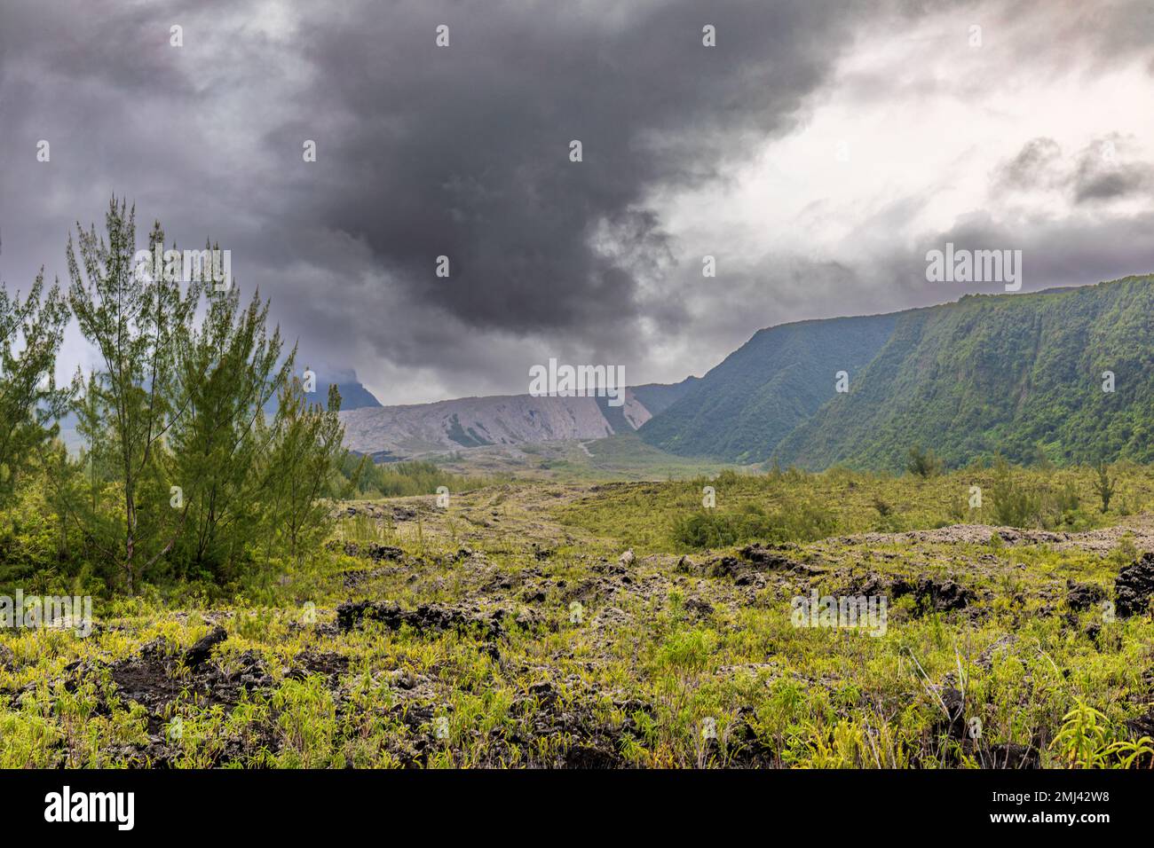 Sainte-Rose, Île de la Réunion - le Grand Brule (gros brûlé) ancien écoulement de lave Banque D'Images