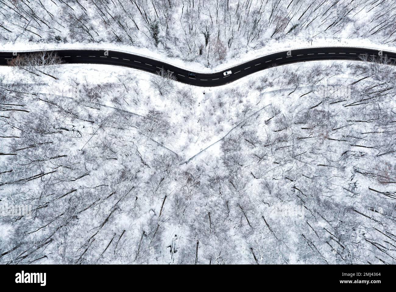 La route sinueuse mène à travers une forêt dans l'Alb souabe, il y a de la neige, photo de drone, Gutenberger Steige, Lenningen-Gutenberg Banque D'Images