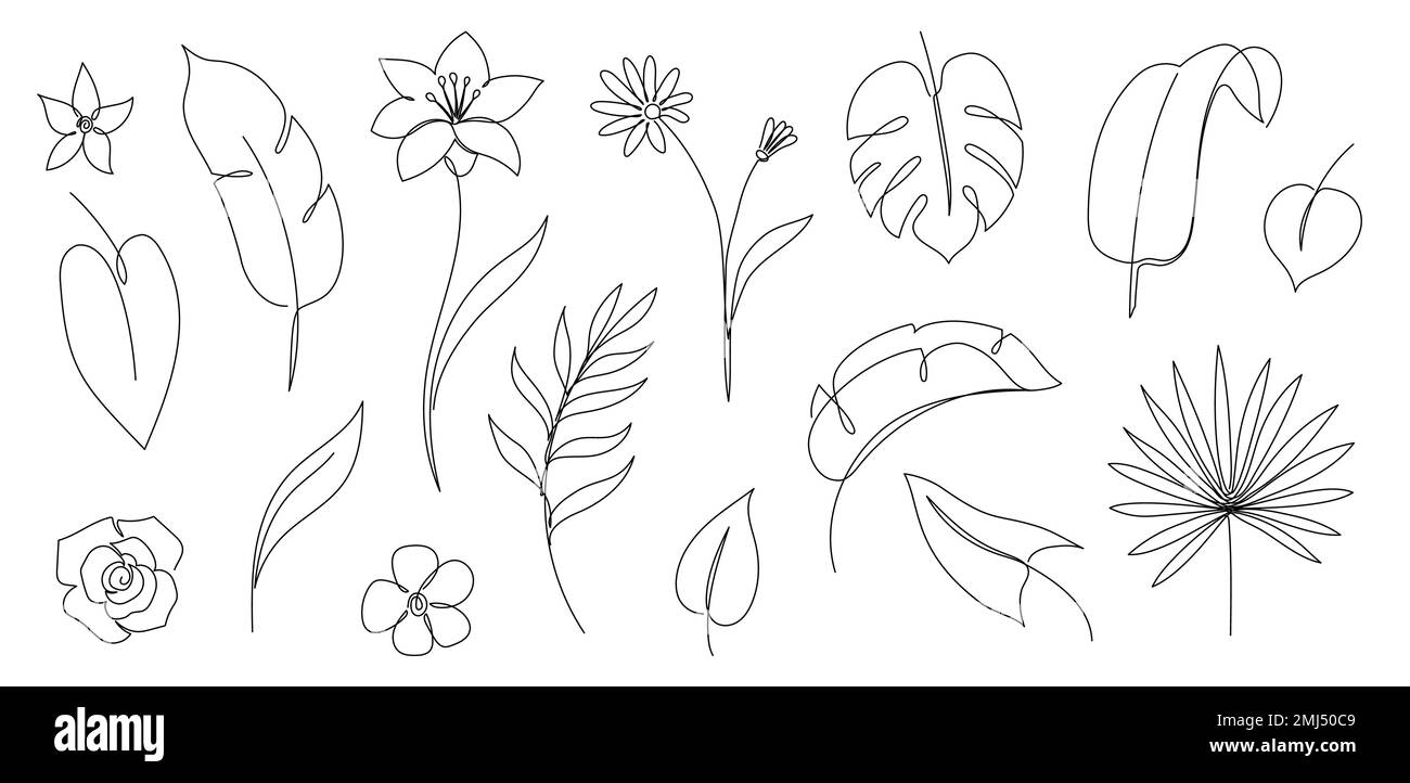 Ensemble de feuilles de palmier à contour tropique. Une ligne continue de feuilles d'arbre tropique d'art. Elément floral monstère de trait modifiable, feuillage de jungle. Illustration vectorielle isolée Illustration de Vecteur