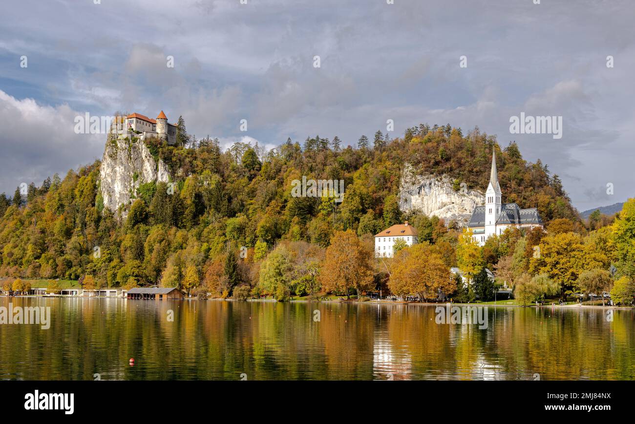 Château médiéval historique de Bled (Blejski grad) et St. Eglise paroissiale de Martin surplombant le lac touristique de Bled, Slovénie. vue panoramique sur un d ensoleillé Banque D'Images
