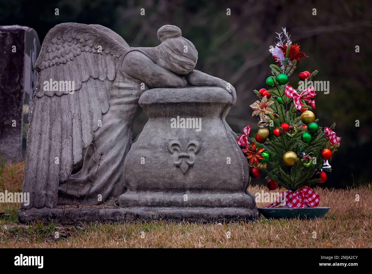 Un arbre de Noël se trouve à côté d'un ange pleurant à St. Rose du cimetière de Lima, 1 janvier 2023, à Coden, Alabama. Banque D'Images