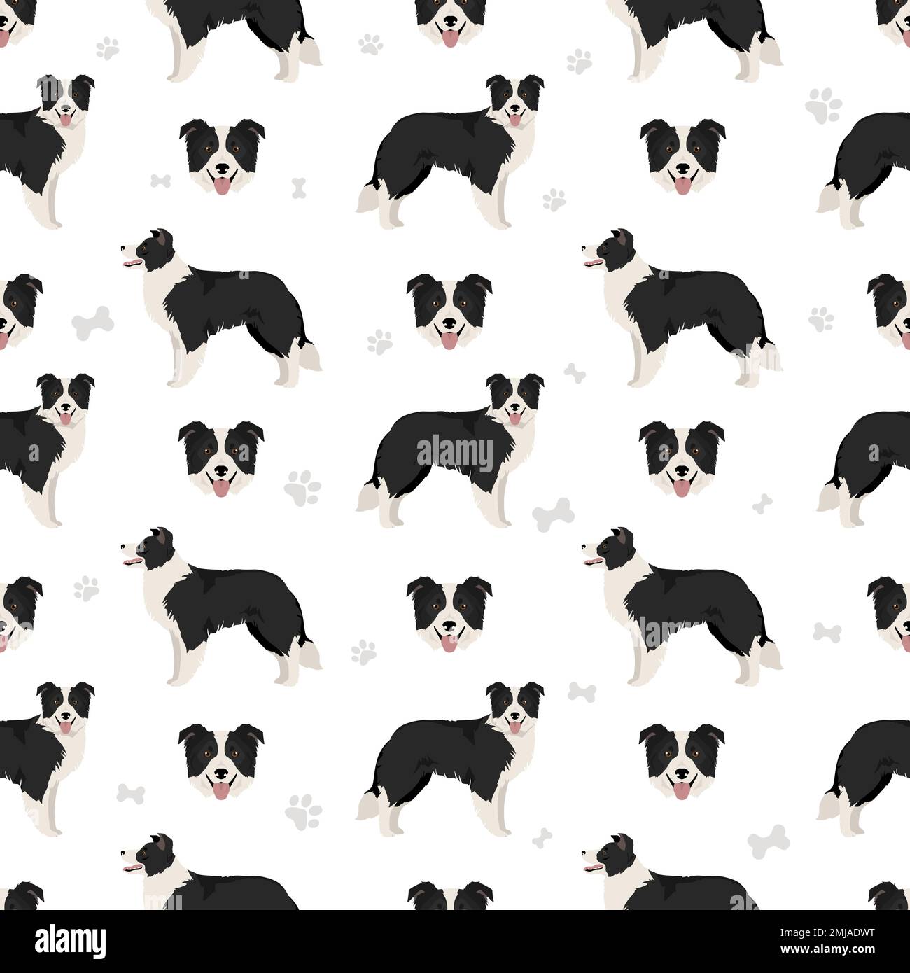 Motif chien collie sans couture. Illustration vectorielle Illustration de Vecteur