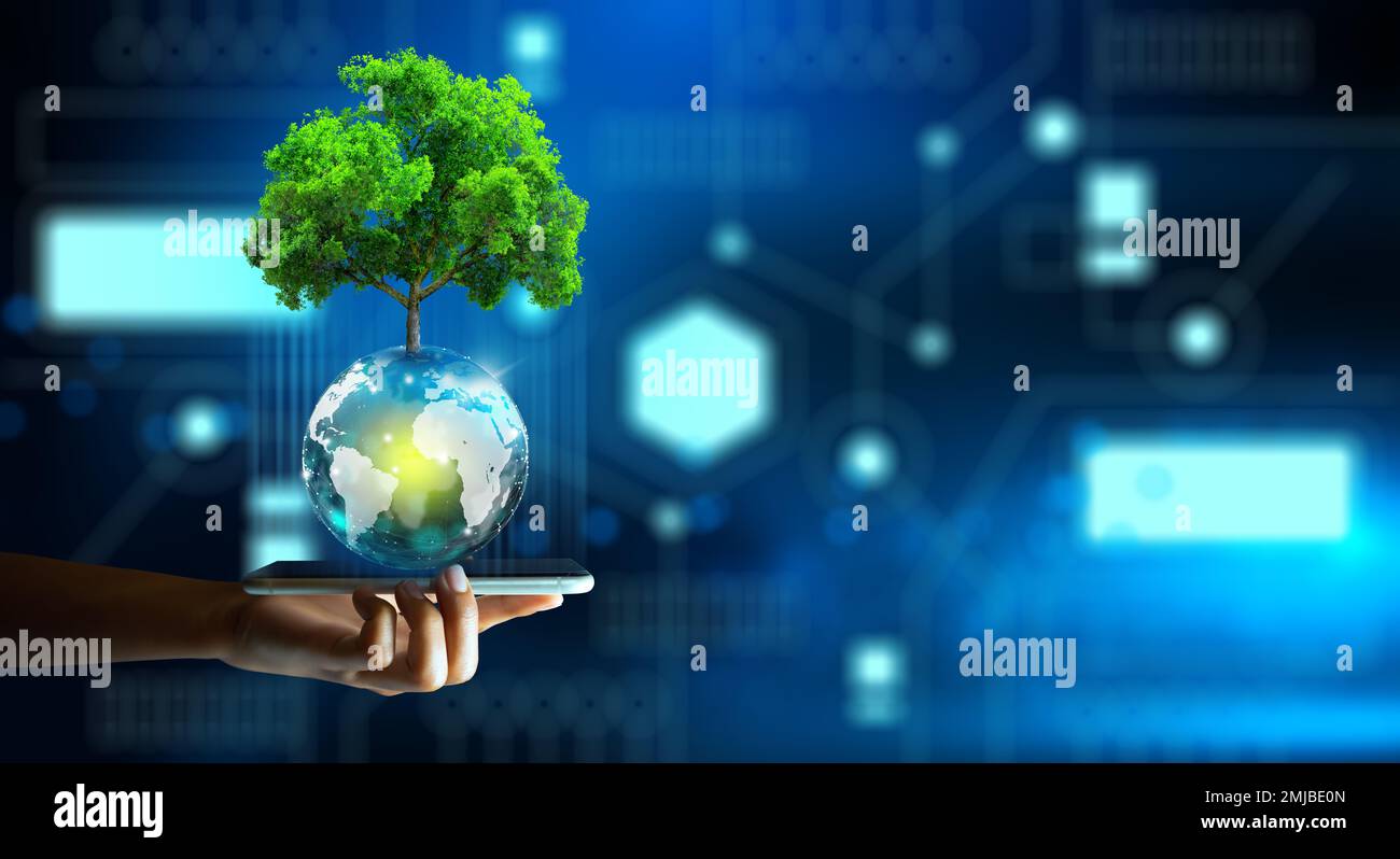 Homme tenant un smartphone avec technologie économique. Arbre poussant sur boule de cristal et arrière-plan abstrait. Informatique verte, informatique verte, rse, éthique INFORMATIQUE. Banque D'Images