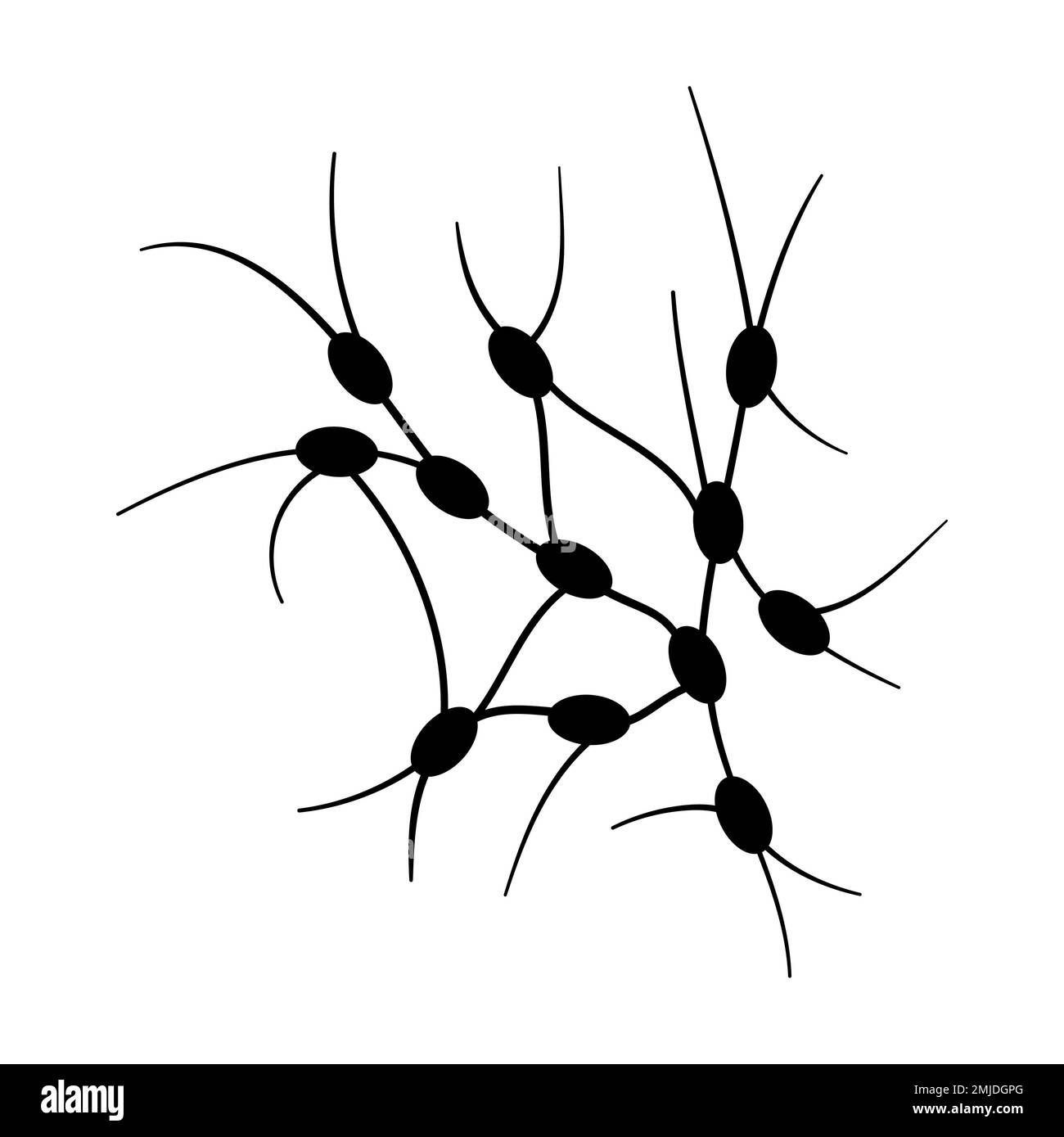 Ganglions lymphatiques, illustration conceptuelle Banque D'Images