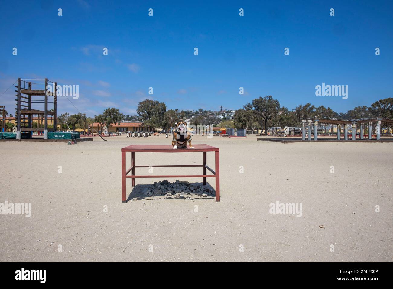 Le Cpl. Manny, mascotte du Marine corps Recruit Depot (MCRD) de San Diego, visite les terrains d'entraînement du MCRD de San Diego, le 29 août 2022. Manny a été nommé d’après le Sgt Johnny R. Manuelito, l’un des «29» Navajo Code Talkers. Banque D'Images