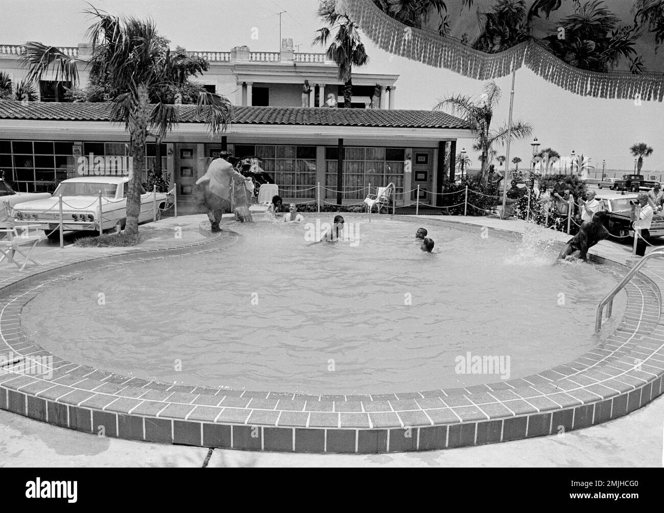When a group of white and African American integrationists entered a segregated hotel pool, June 18, 1964, in St. Augustine, FL., manager James Brock poured muriatic acid into it, shouting "I'm cleaning the pool." The demonstrators refused to leave and were arrested. (AP Photo/Horace Cort) Banque D'Images