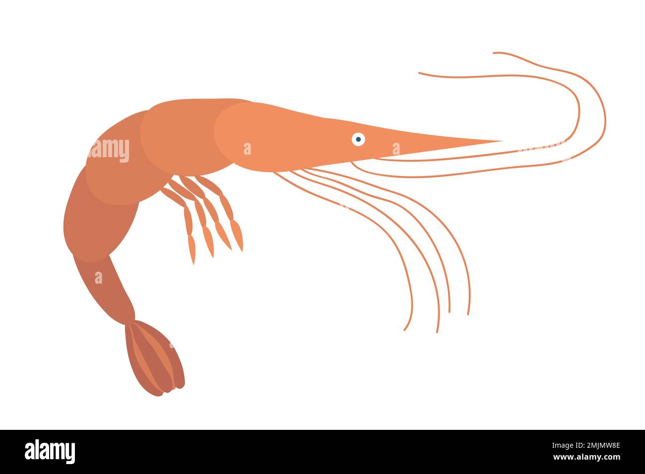 Illustration de crevettes vectorielles Illustration de Vecteur