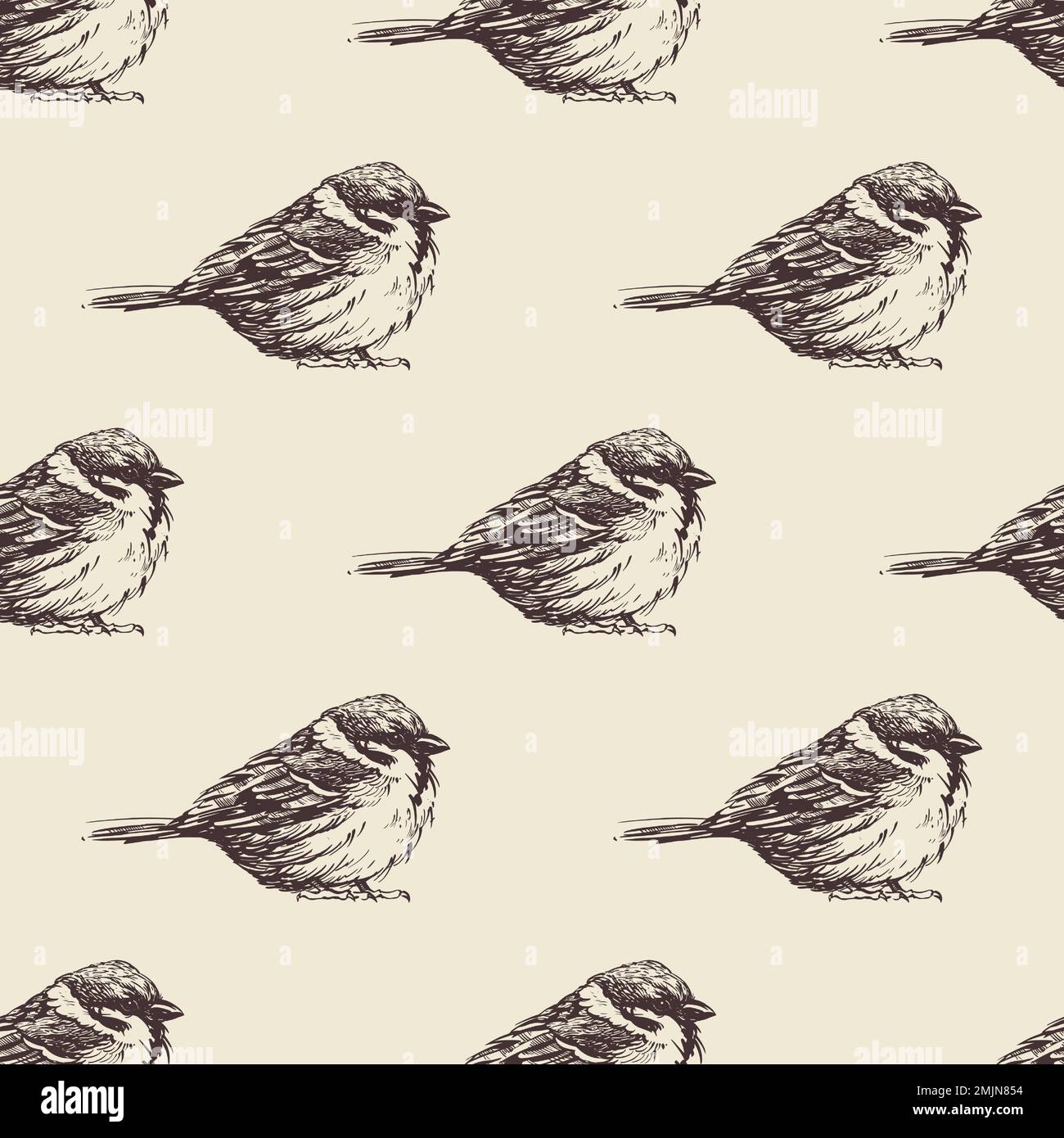 Motif d'oiseaux dessinés à la main sur un fond laiteux pour l'impression et la décoration. Illustration vectorielle. Illustration de Vecteur