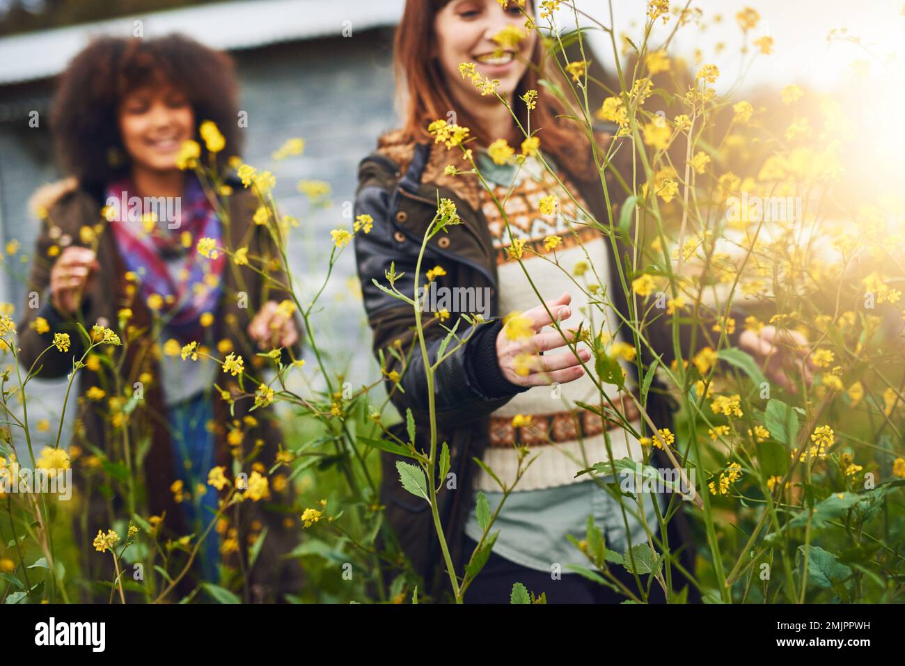 Entouré par la beauté natures. deux jeunes femmes heureux debout dans un champ de fleurs sauvages ensemble. Banque D'Images