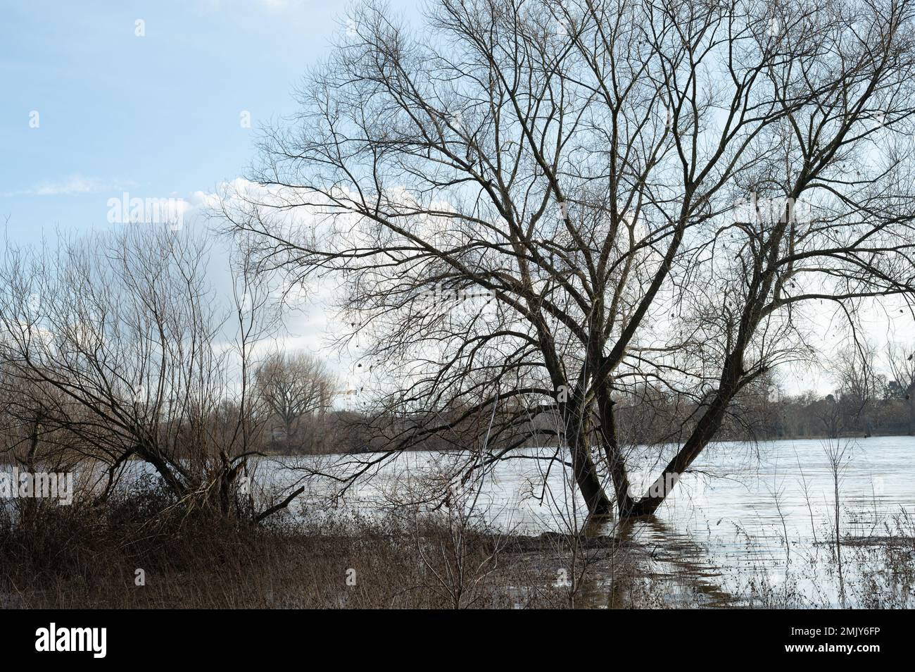 Haute eau après de fortes précipitations et la fonte de la neige dans le Rheinland. Banque D'Images