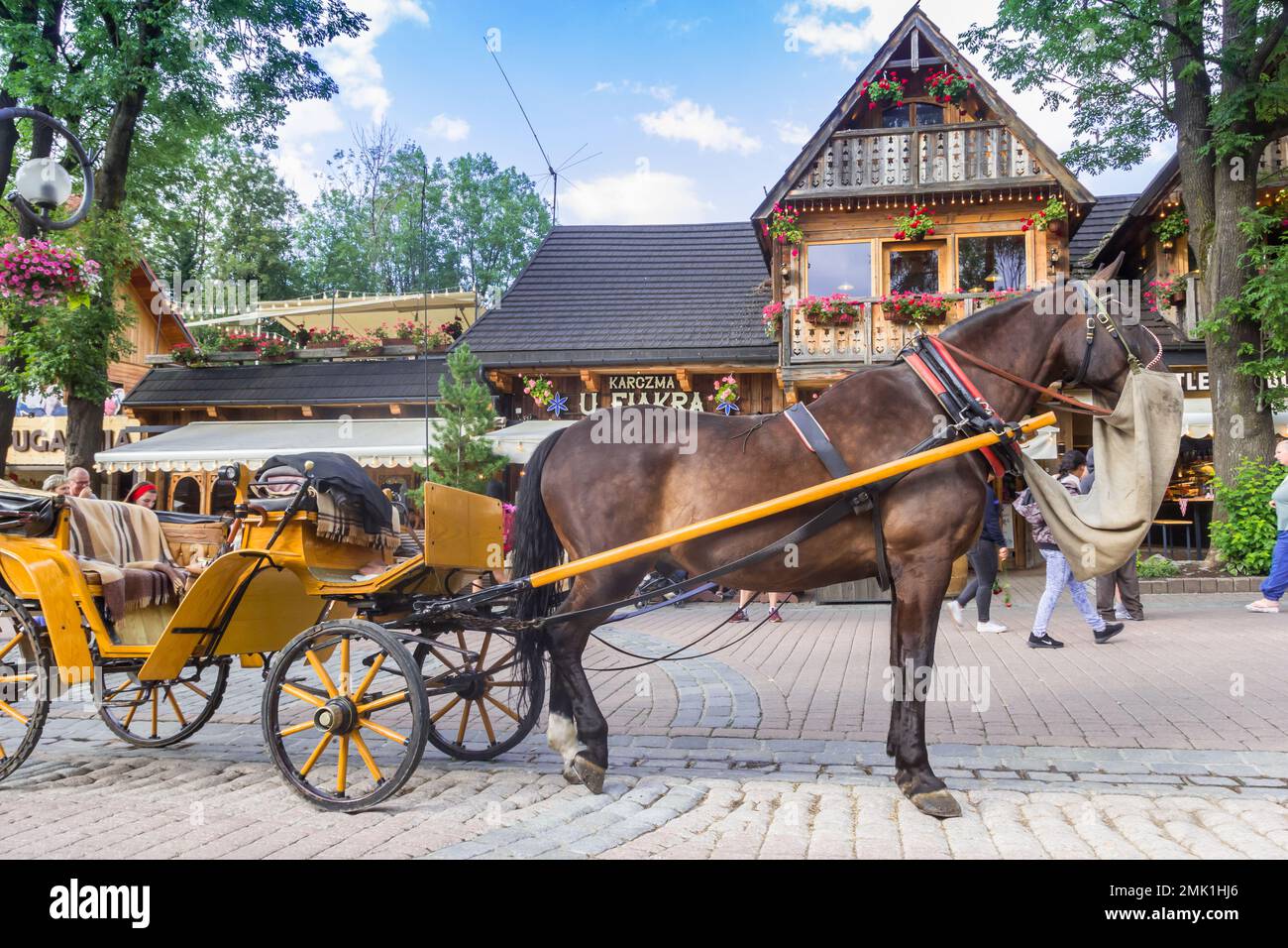 Cheval et calèche dans la rue commerçante principale de Zakopane, Pologne Banque D'Images