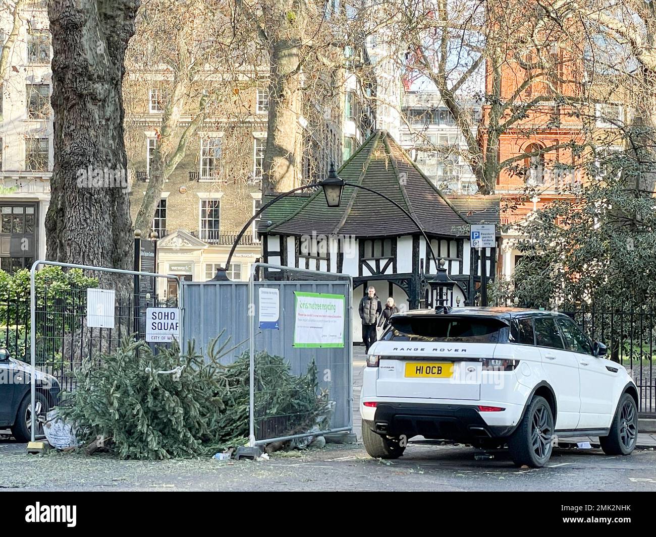 Les arbres de Noël utilisés autour du centre de Londres sont jetés sur