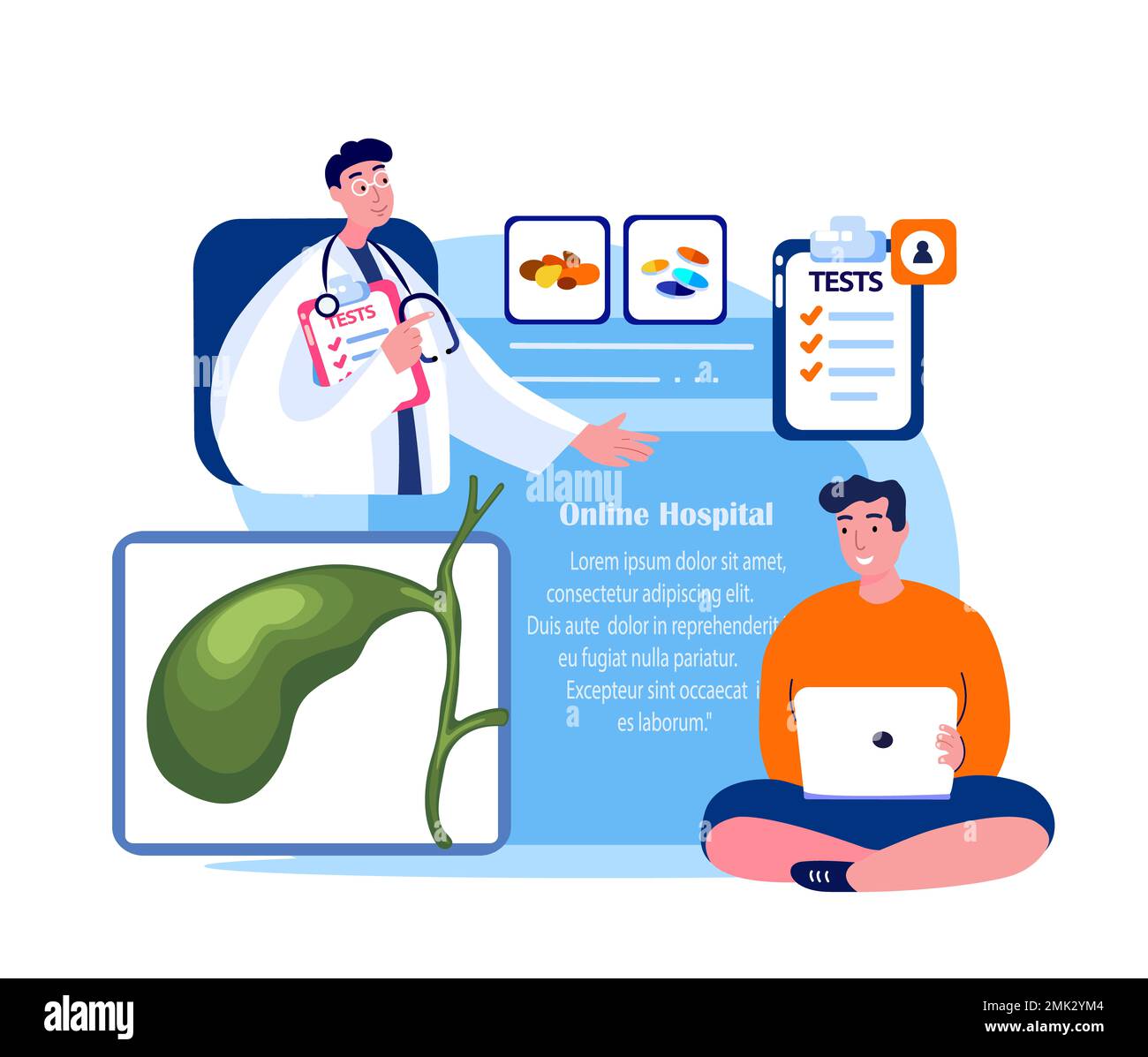 Médecin en ligne gastro-entérologue Consulter patient dans ordinateur portable. Système de vésicule biliaire Internet diagnostic.Gall Cholalic Organ Cholecystitis traitement.Dig Banque D'Images