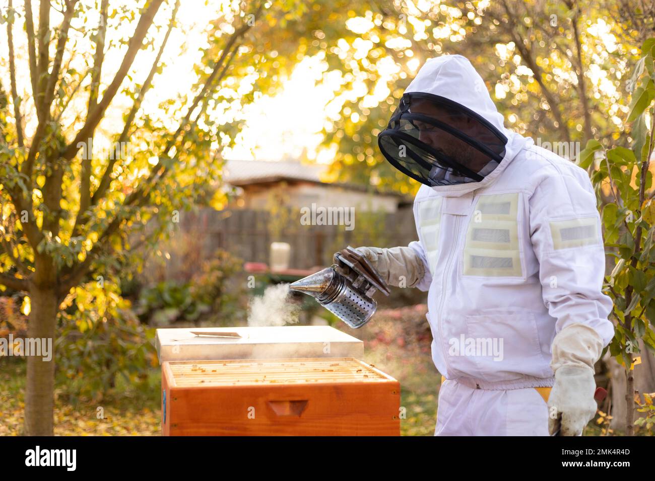 Fumeur d'abeille avec apiariste avec l'équipement professionnel qui travaille dans son apiaire sur la ferme d'abeille, concept d'apiculture Banque D'Images