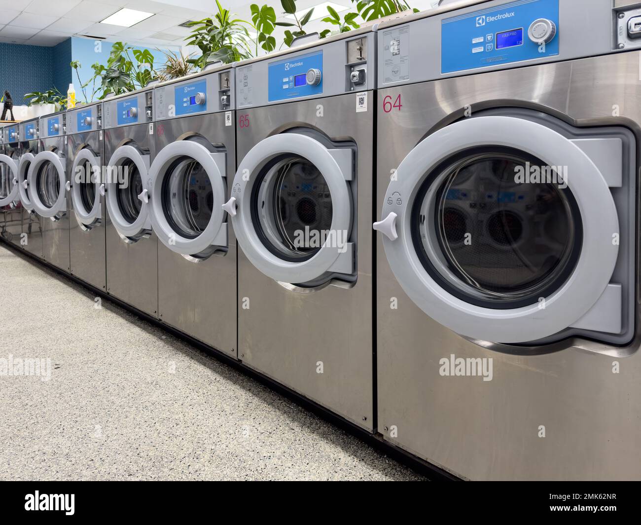 Buanderie automatique avec lave-linge Banque D'Images